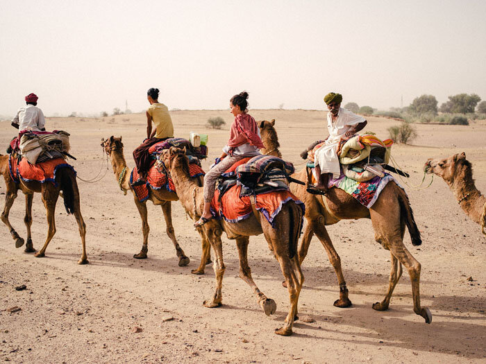 Camel Safari in Jaisalmer