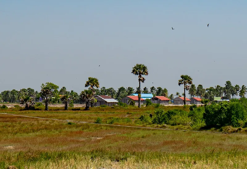 cambodian countryside