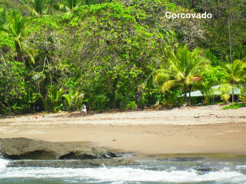 Corcovado National Park