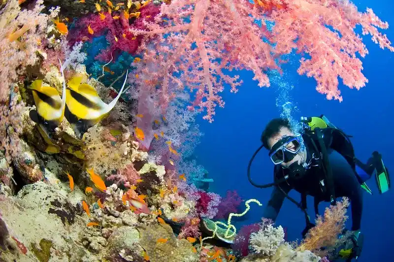 Crystal-Clear Snorkeling Spots
