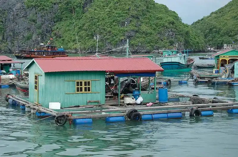 Floating Fishing Village halong bay vietnam