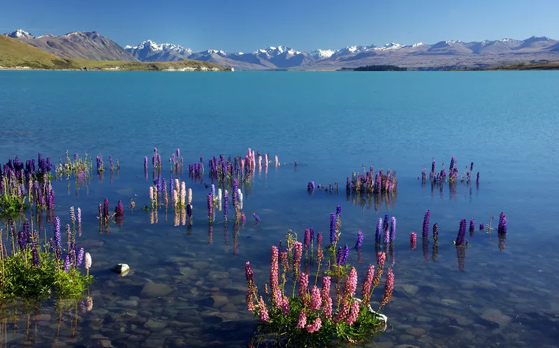 Lake Tekapo
