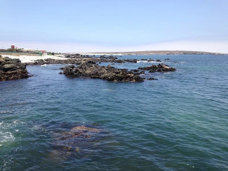 Punta de Choros