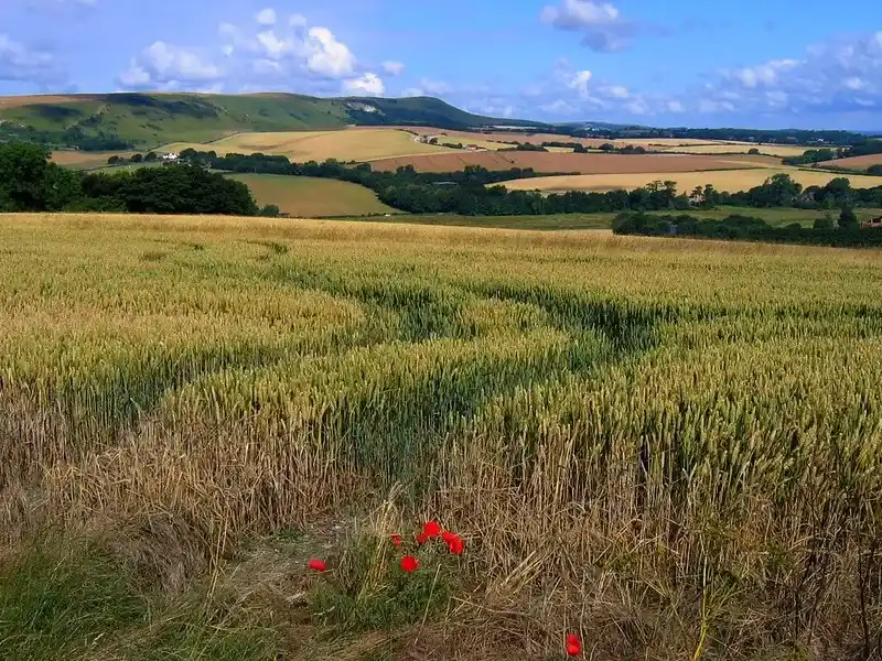 South Downs