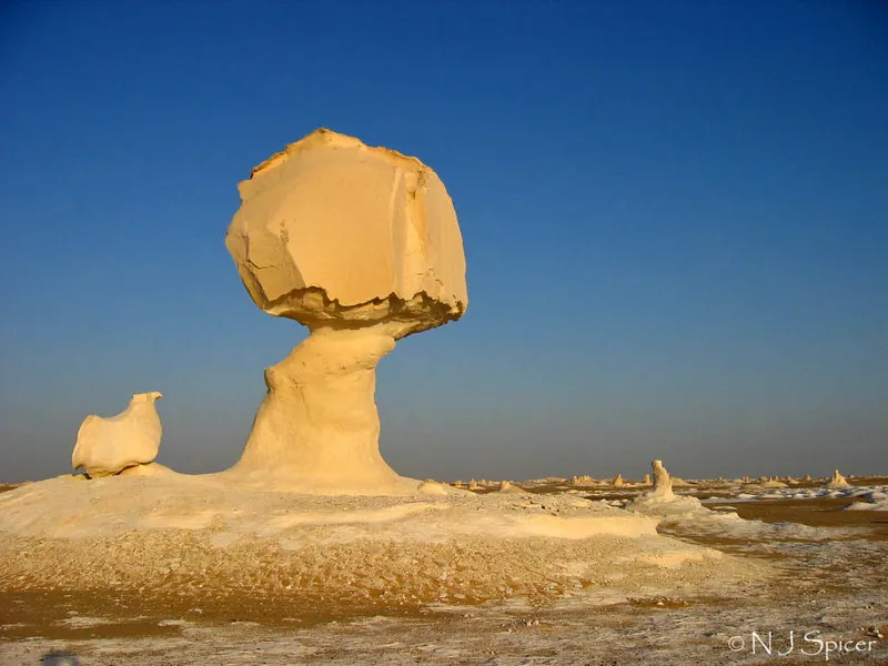 White Desert
